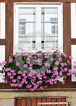 Window with flowers