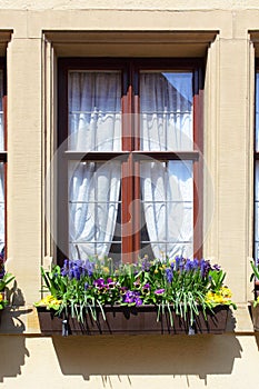 Window with flowers