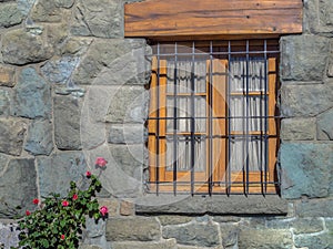 Window flowers