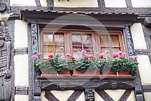 Window with flowers