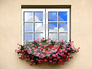 Window with flowers