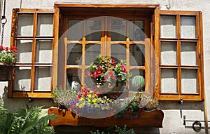 Window with flowers