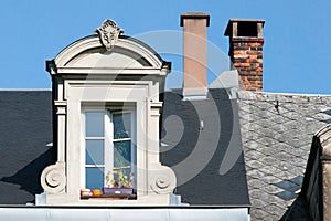 Window and flowers