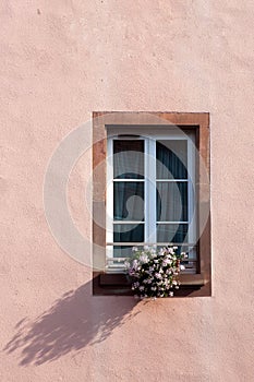 Window and flowers