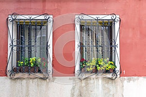 Window with flowers and bars on the windows