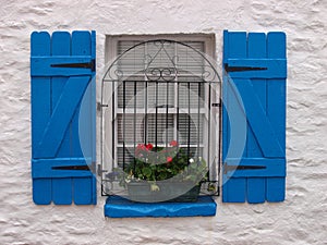 Window with flowers and blue window doors