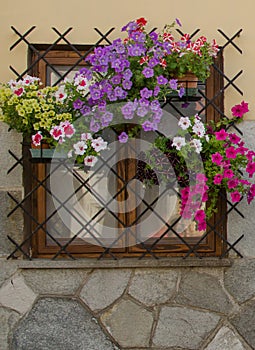 The window with flowers and grate