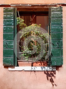 Window with flowers and green shutters in the background of old pink stone walls on a Sunny day.