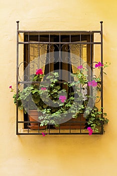 Window with flowers in an old town from Tuscany