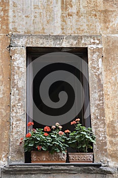 Window with flowers in Rome, Italy.