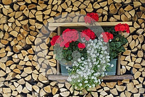 Window with flowers at Selva di Cadore, Dolomites