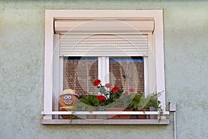 Window. Flowers on the window. Face of pumpkin on a windowsill. A window with shutters. The window of a private house.