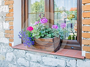 Window flowers in a wooden box