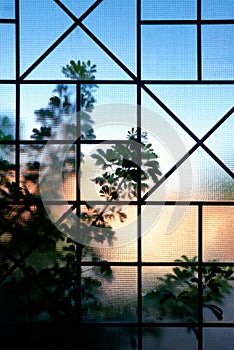 Window frame with green foliage background.