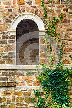 Window gap on facade of abandoned mansion Dacha Kvitko