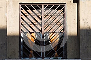 Window, Garbatella, Rome, Italy