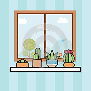 Window garden cactus