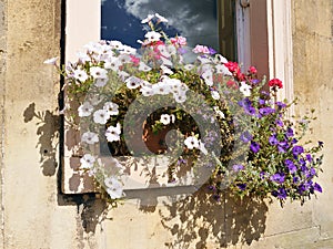 Window Garden Flower Box