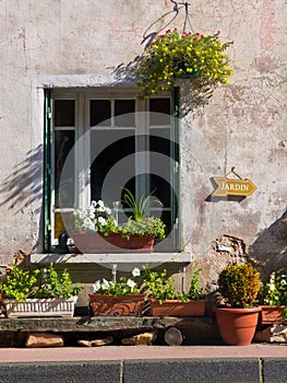 Window Gardening