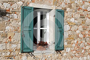Window with Green Shutters