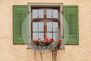 Window with green shutters and a flower box with red flowers