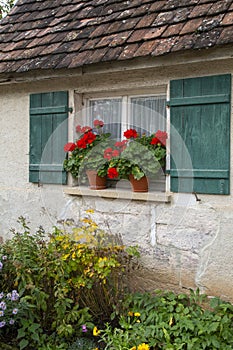 Window and green shutters of an old house with flower pots filled with red geranium flowers