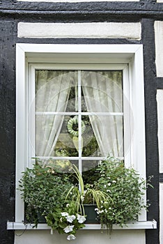 Window of half-timbered house with white flowers