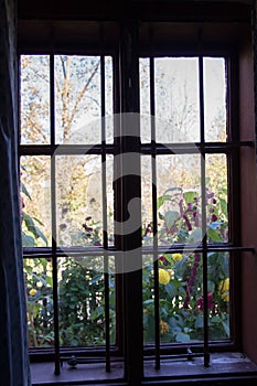 Window of a historic house with a view of the garden no. 2