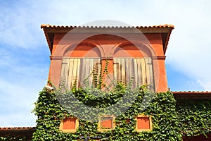 window with ivy wall