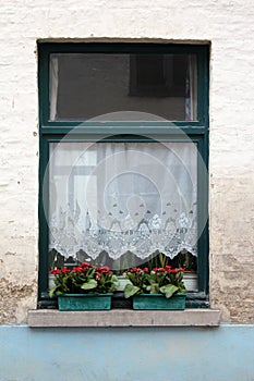 Window with Lace Curtains and Flowers