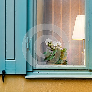 Window with lamp and flower