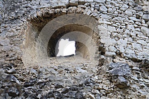 Window on  Lietava castle, Zilina district