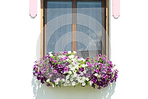 Window with lila and white flowers photo