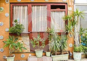 Window and many flower pots in old home