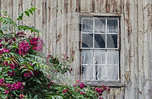 Window on Old Cottage
