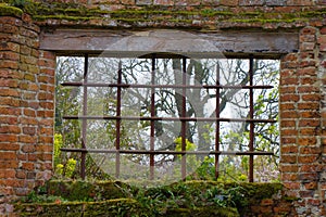 Window in an old garden wall. England