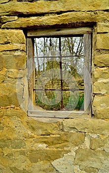 Window