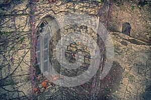 A window of an old haunted castle.