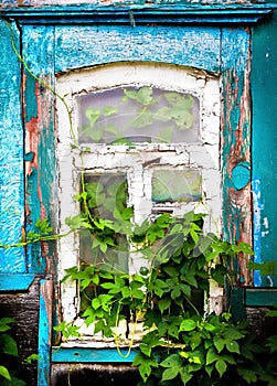 Window of an old house