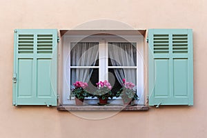 Window in an old house decorated with flower pots