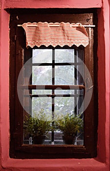 window on an old house with flowers