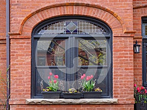 Window of old house with tulips growing in box