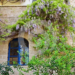 Window in Old Jaffa, Tel Aviv, Yaffo, Israel