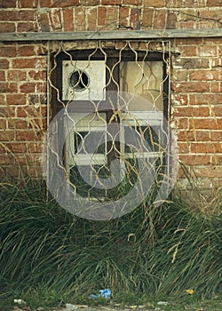 A window in an old ruined brick house.