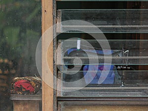 Window with old Sewing Machine