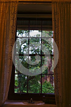 Window with old style vintage curtains