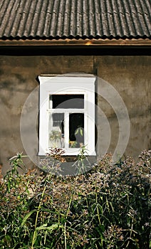 Window of the old village house behind the dry plants