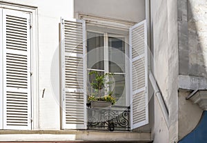 Window with open shutters and a pot of flowers outside