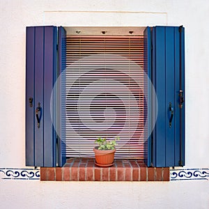 Window with opened blue shutters and flowers in the pot. Italy, Venice, Burano