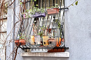 Window outside is decorated with potted flowers